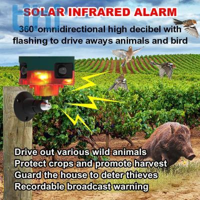 solar infrared alarm